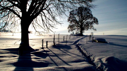 im schweigsamen Winterreich